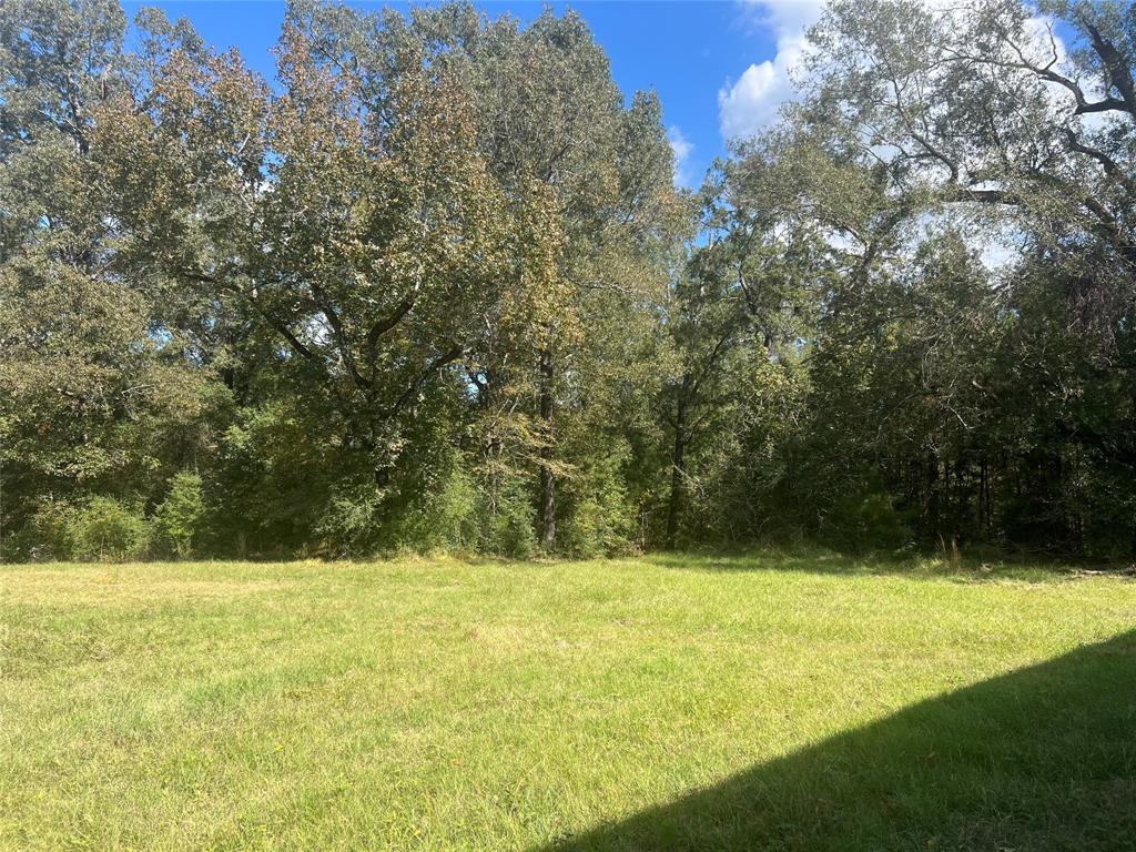 4304 Farm Market 352, Corrigan, Texas image 30