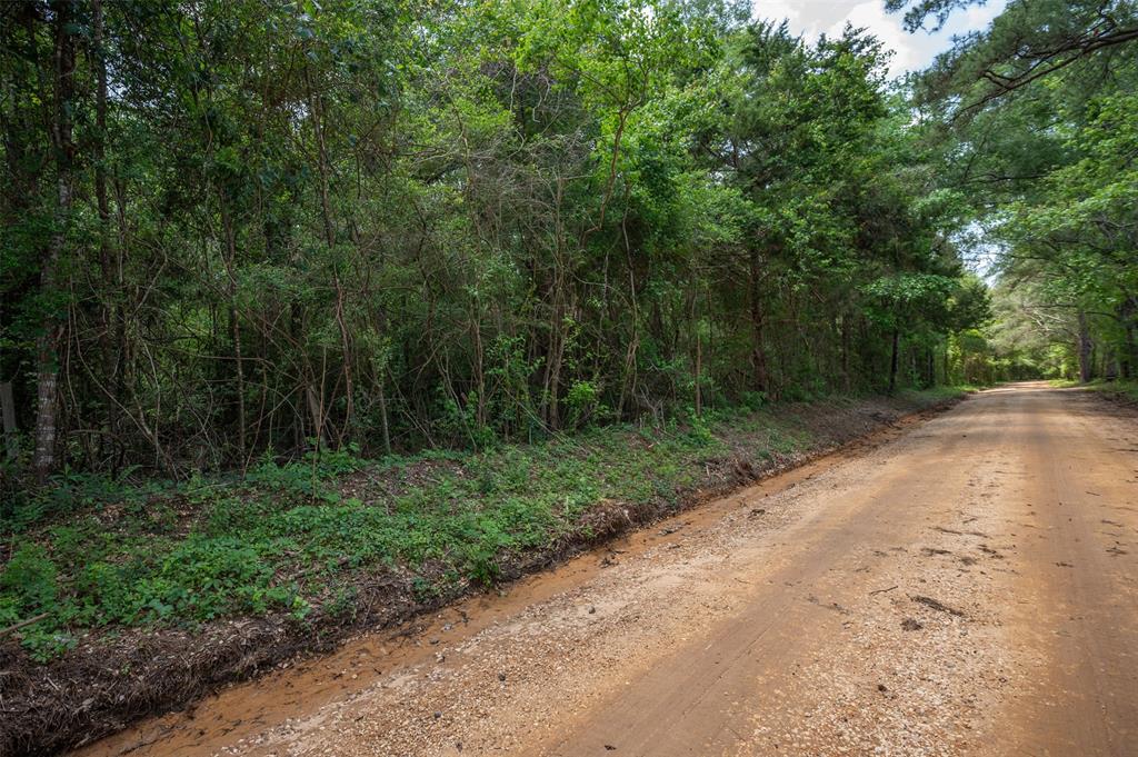 Tbd Co Rd 3000, Woodville, Texas image 13