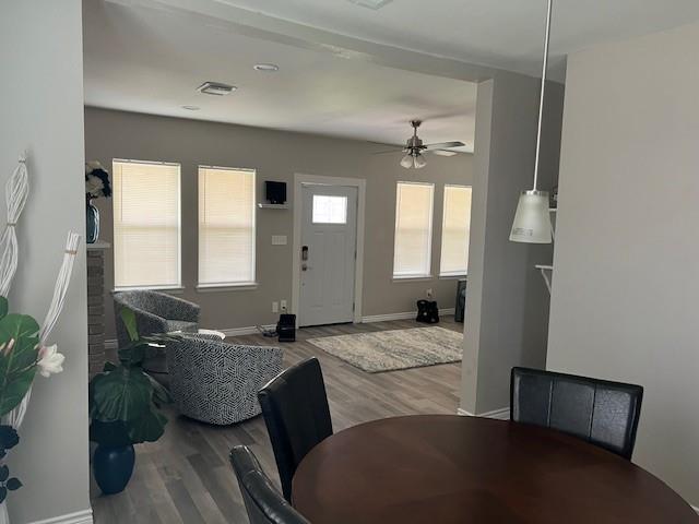 1014 Daisy Street, Houston, Texas image 4