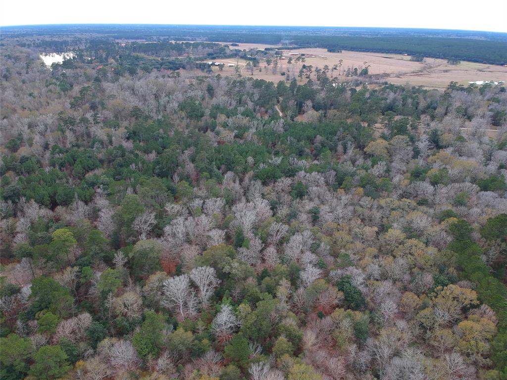 TBD S Green Valley Trail, Hillister, Texas image 8