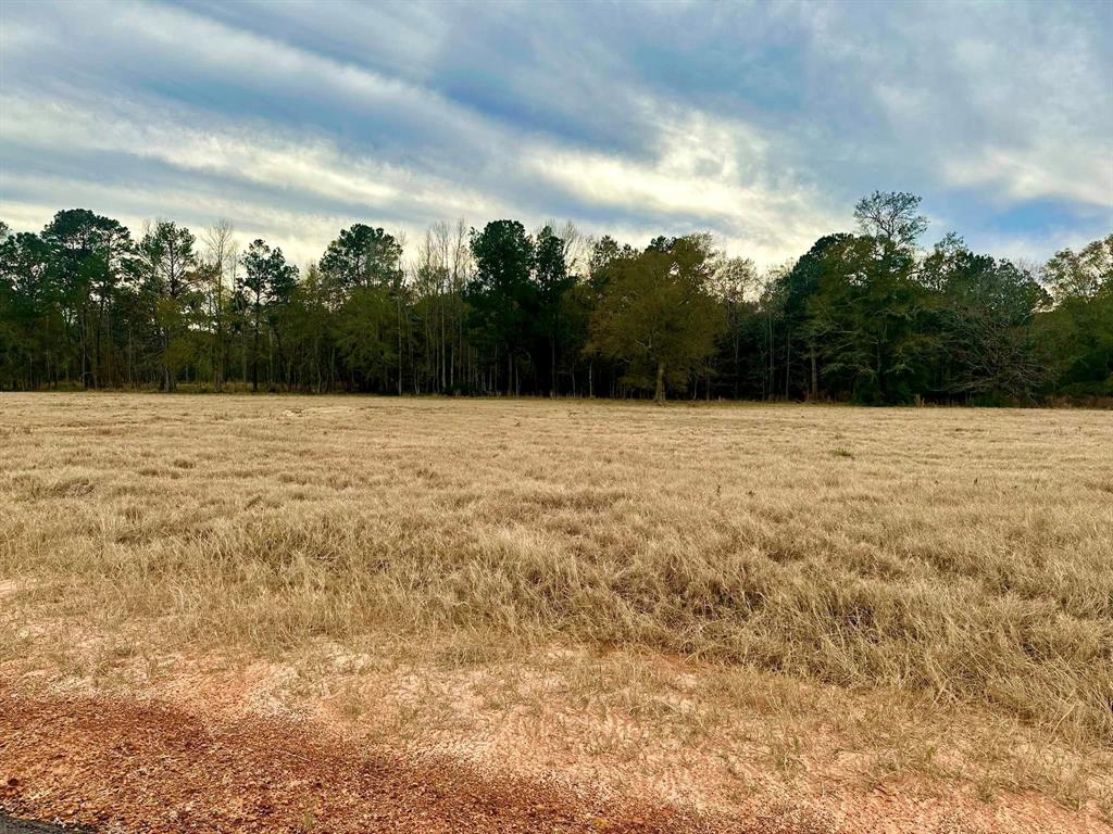 TBD S Green Valley Trail, Hillister, Texas image 3