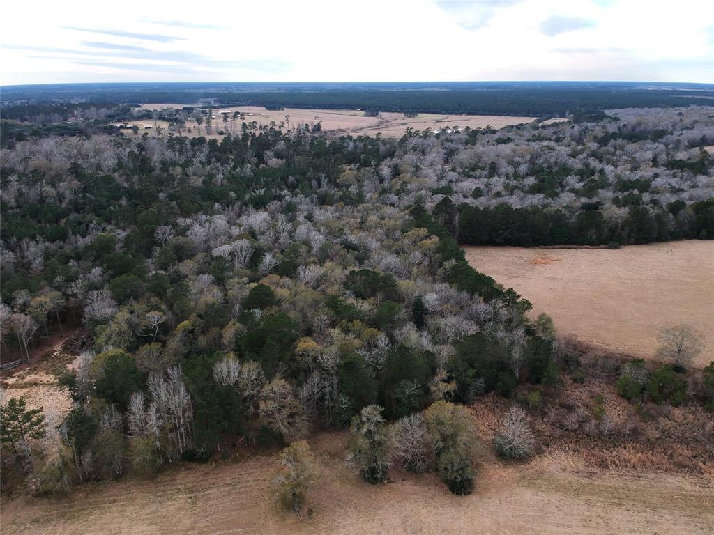 TBD S Green Valley Trail, Hillister, Texas image 6