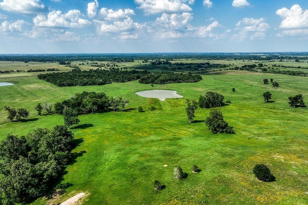 0000 Egypt Lane Road, Washington, Texas image 14