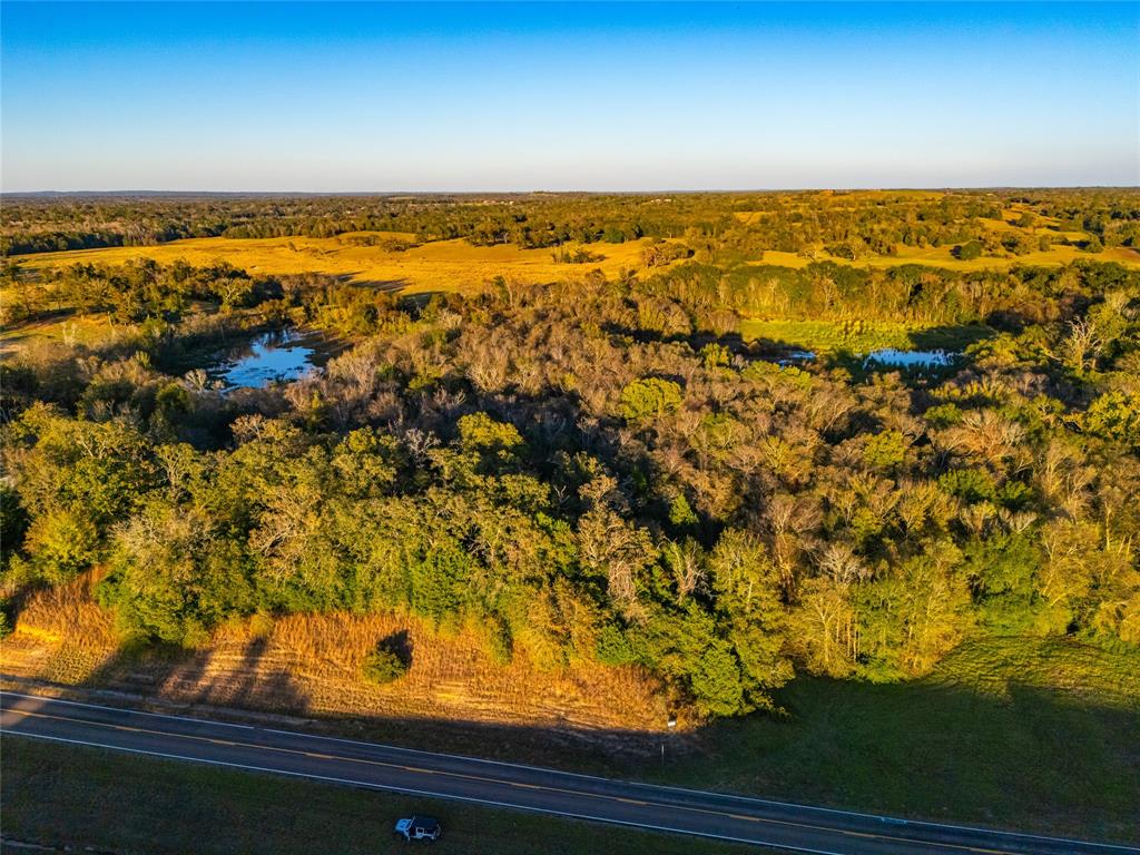 I-45, Buffalo, Texas image 3