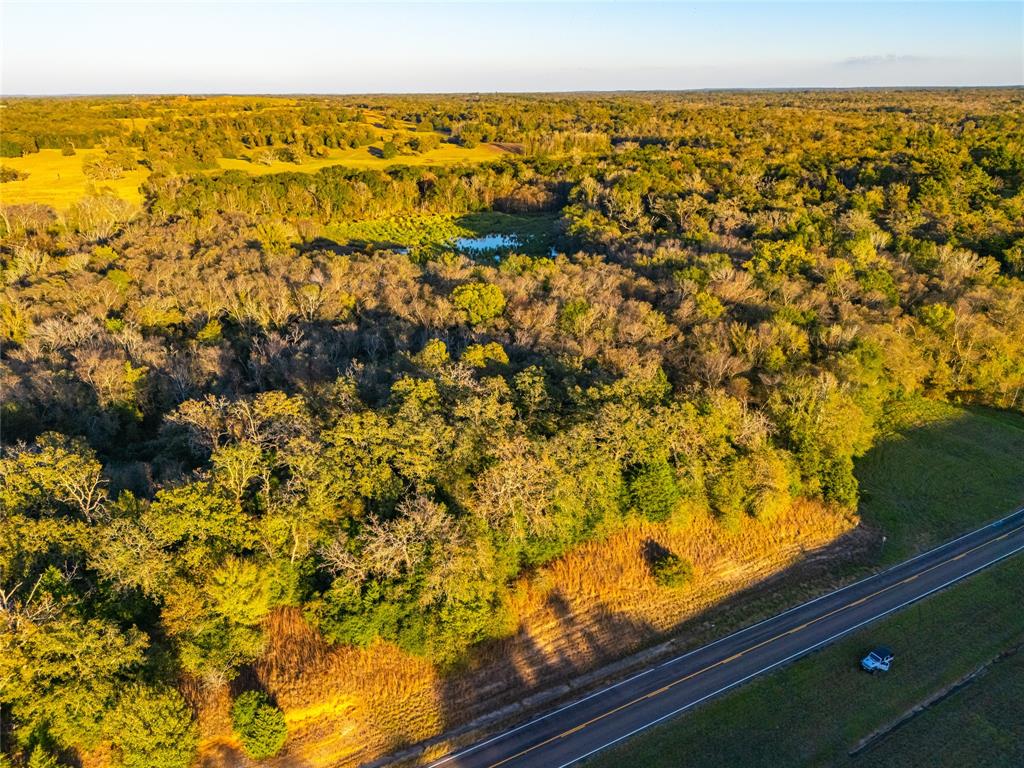 I-45, Buffalo, Texas image 9