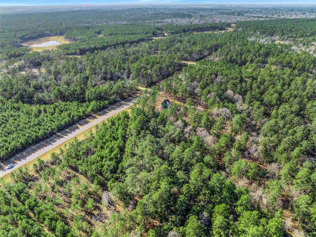 15762 Wood Grove Way, Willis, Texas image 17