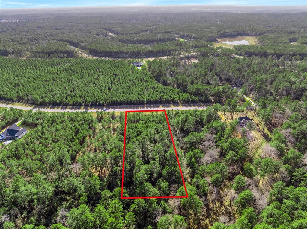 15762 Wood Grove Way, Willis, Texas image 14