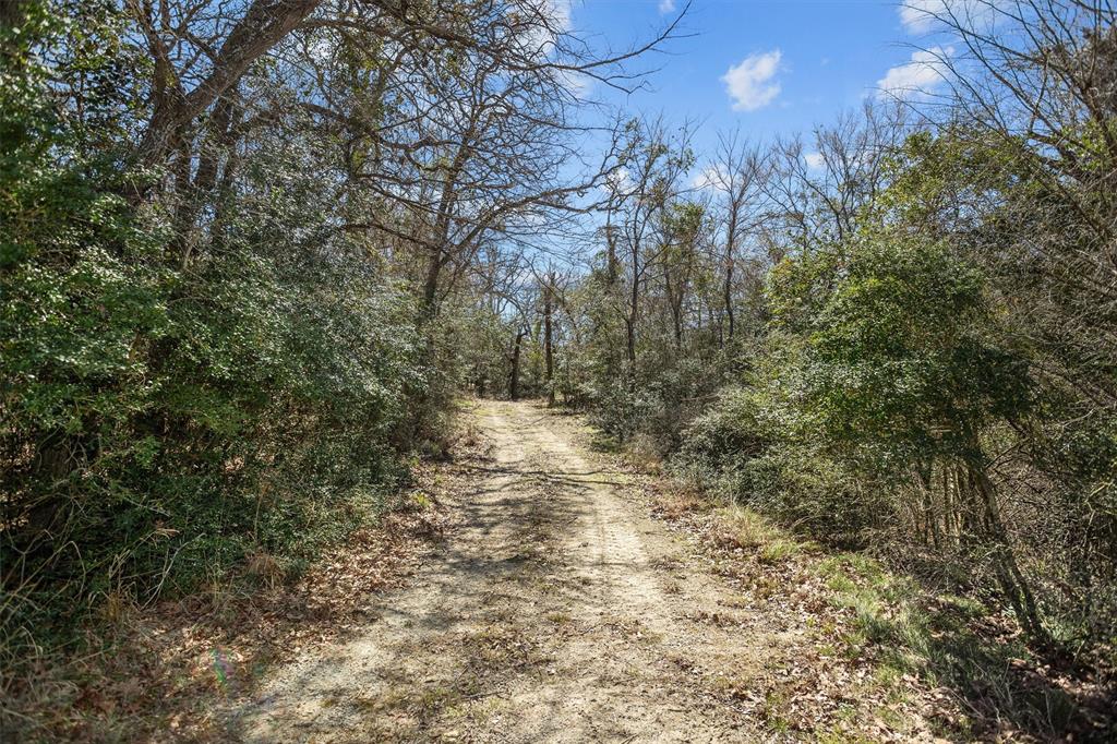 TBD County Road 759, Groesbeck, Texas image 11