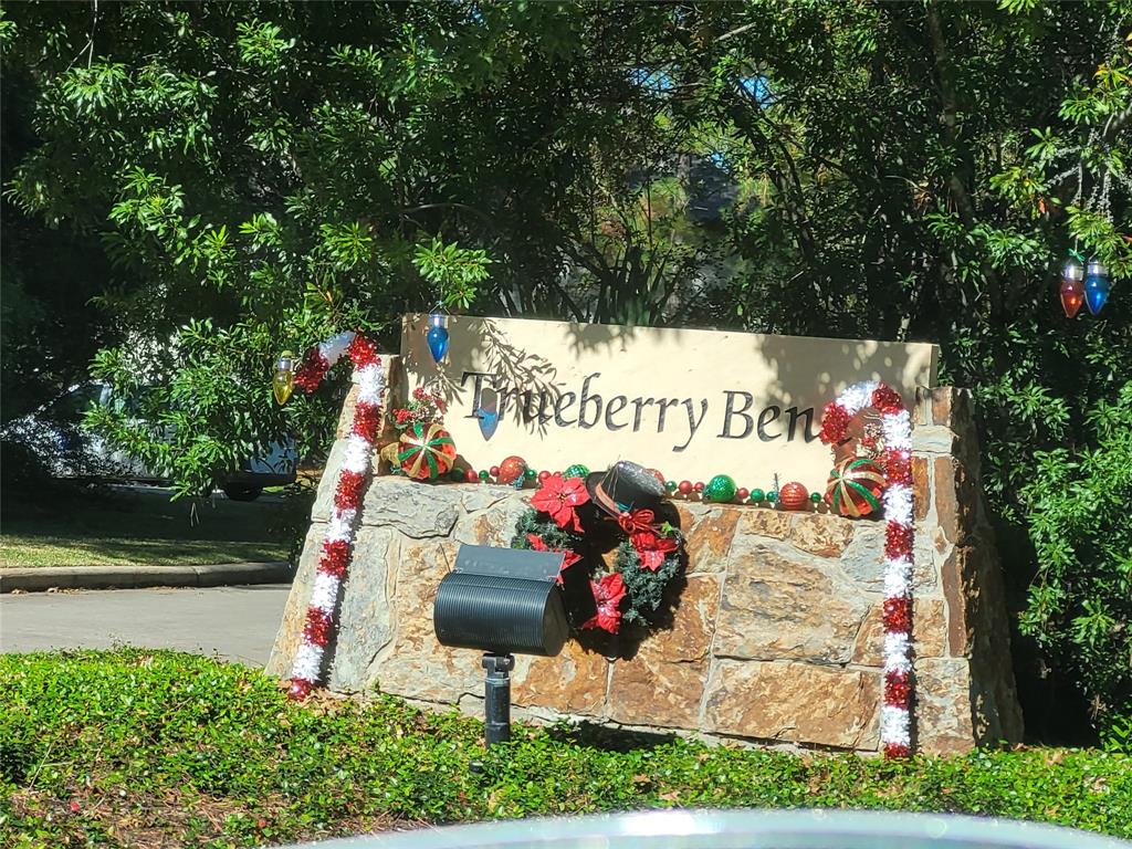 14 E Burberry Circle, The Woodlands, Texas image 20