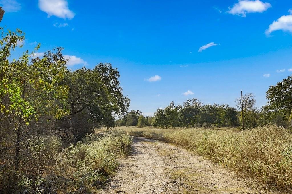 Tract 3 Lobo Lane, Columbus, Texas image 6