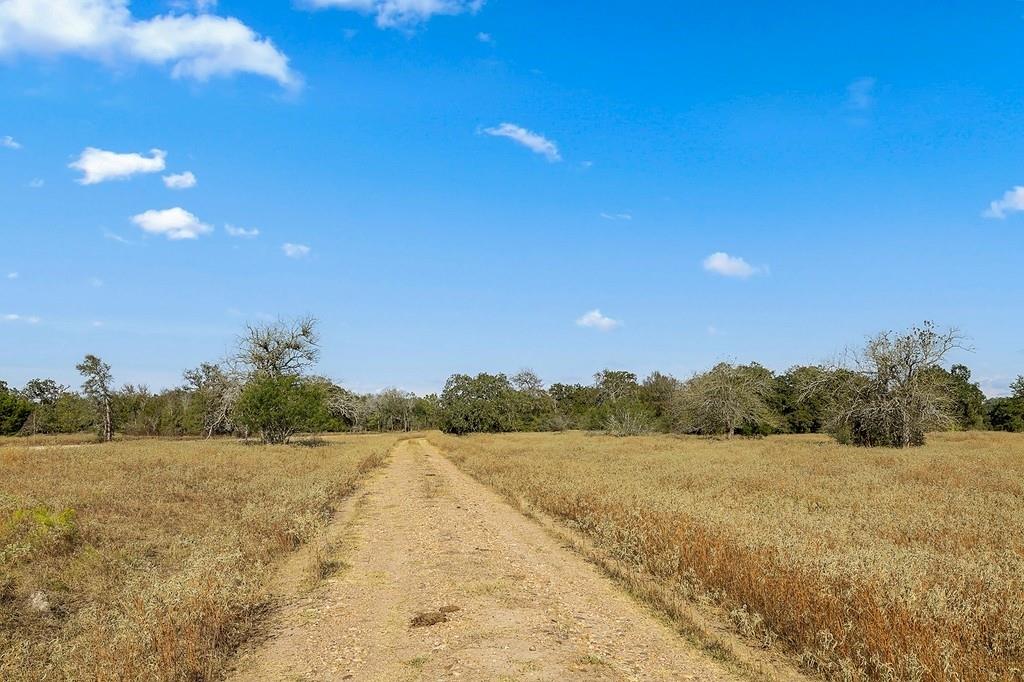 Tract 3 Lobo Lane, Columbus, Texas image 10