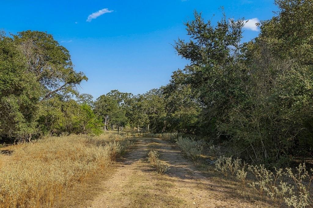 Tract 3 Lobo Lane, Columbus, Texas image 1