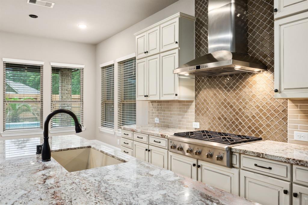 25211 Birchwood Springs Avenue, Porter, Texas image 17
