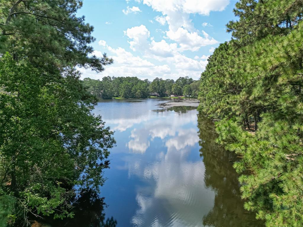 2727 Fountain View Street, New Caney, Texas image 3