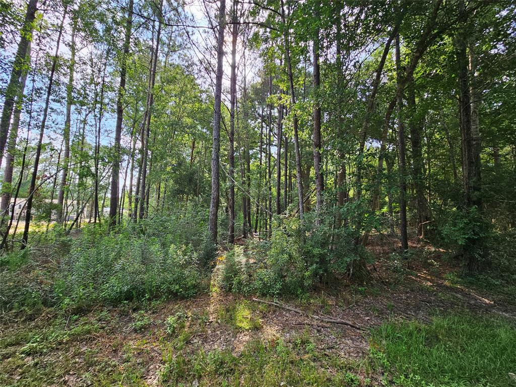 185 Sessums Road, Silsbee, Texas image 3