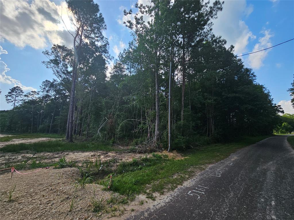 185 Sessums Road, Silsbee, Texas image 7