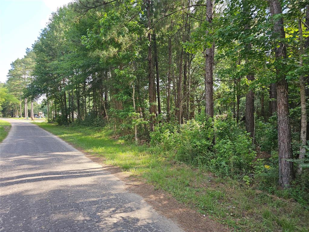 185 Sessums Road, Silsbee, Texas image 5