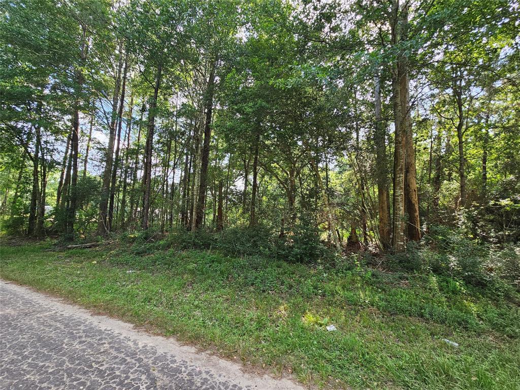 185 Sessums Road, Silsbee, Texas image 2