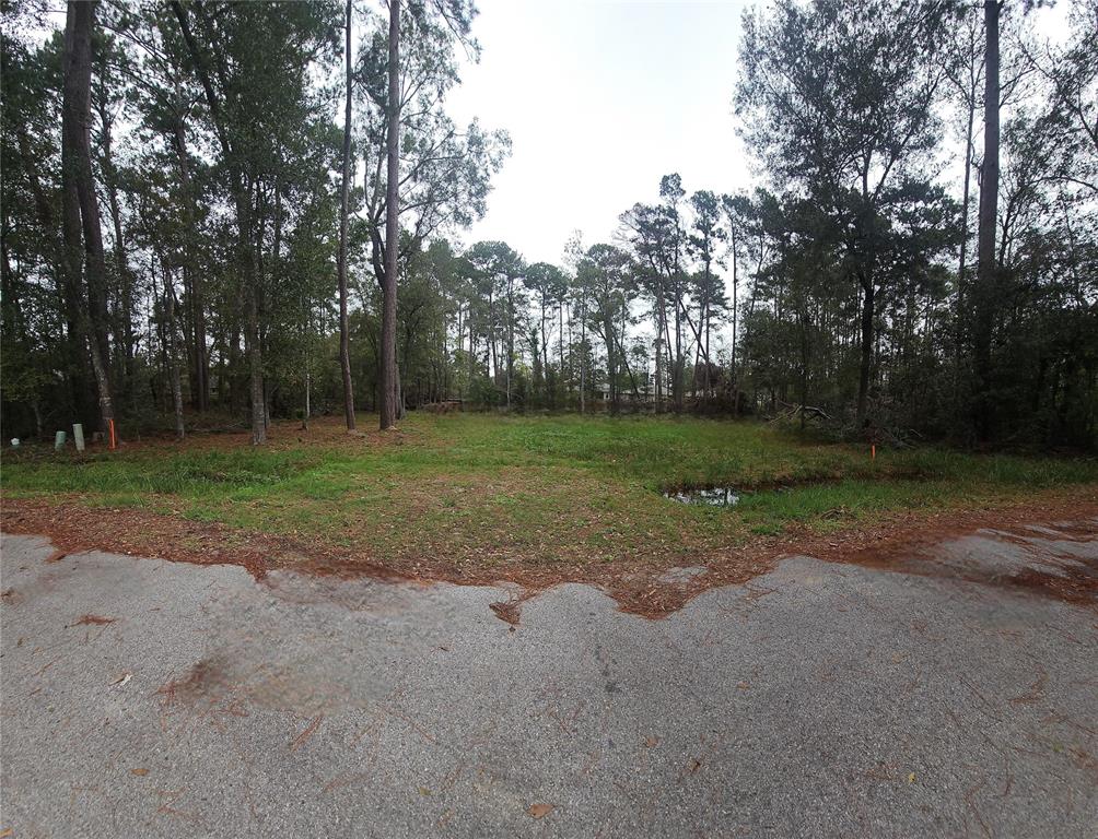 818 Scribe Street, New Caney, Texas image 4
