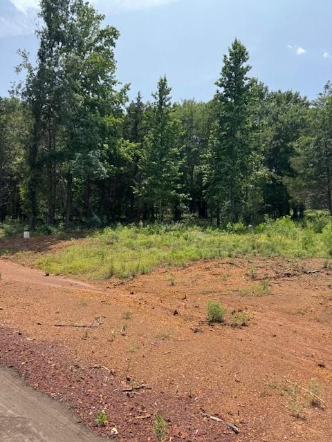 8841 Private Road, Palestine, Texas image 4
