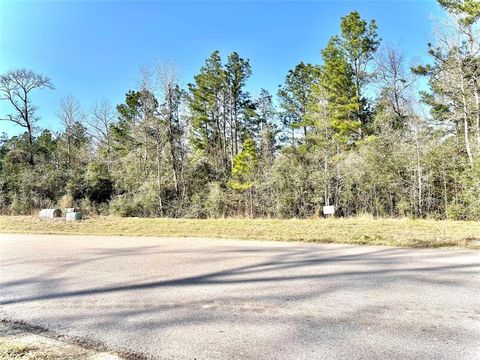 15806 Republic Ranch Road N Willis TX 77378