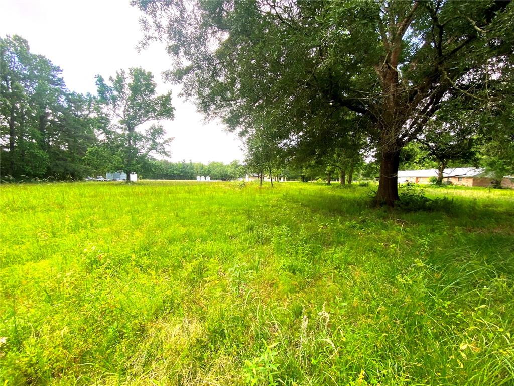 17374 Hales Rd, Batson, Texas image 5