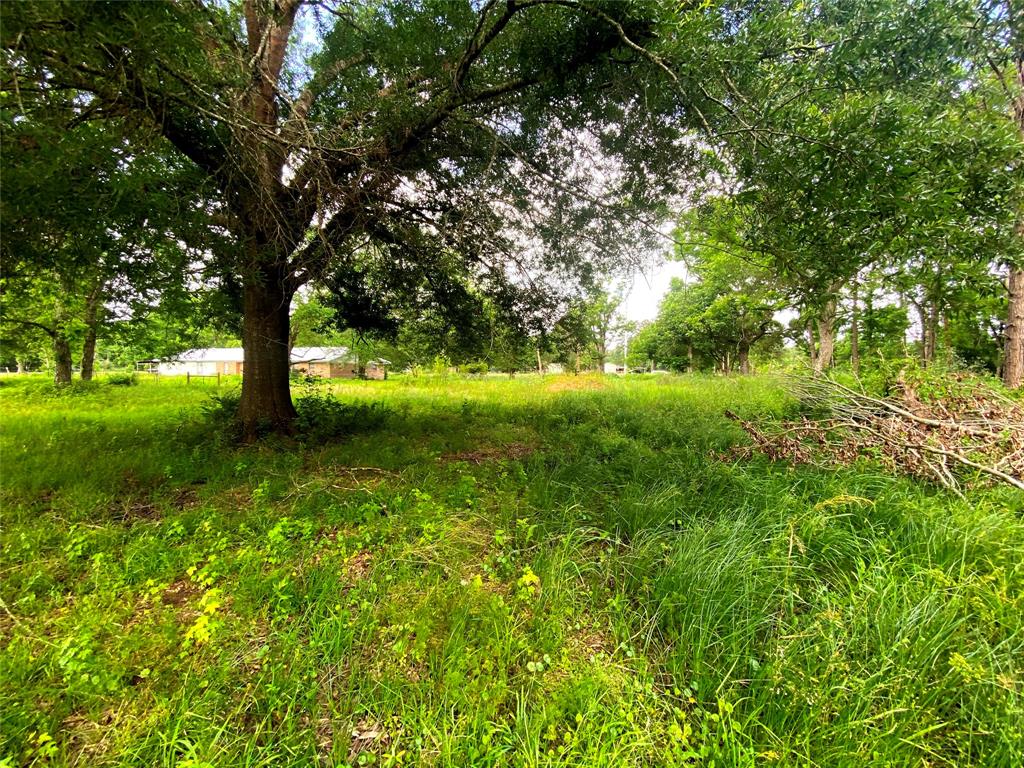 17374 Hales Rd, Batson, Texas image 2