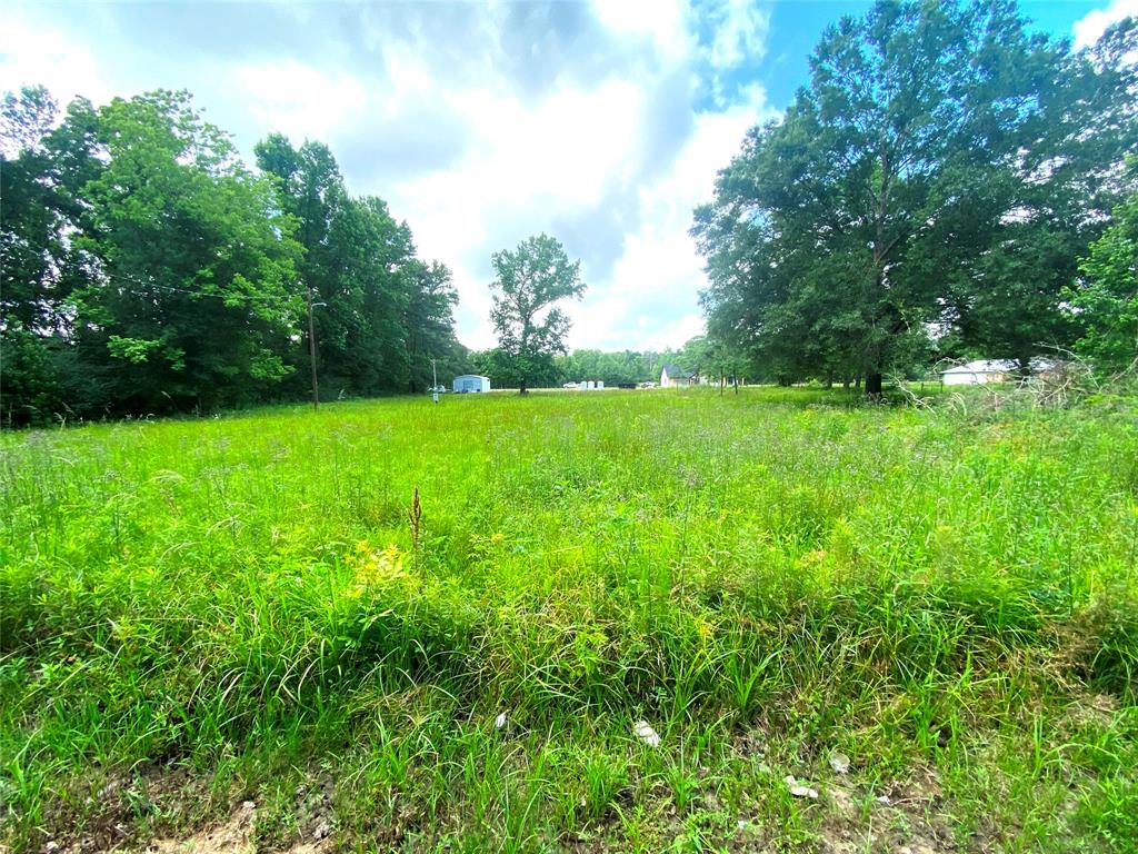 17374 Hales Rd, Batson, Texas image 9