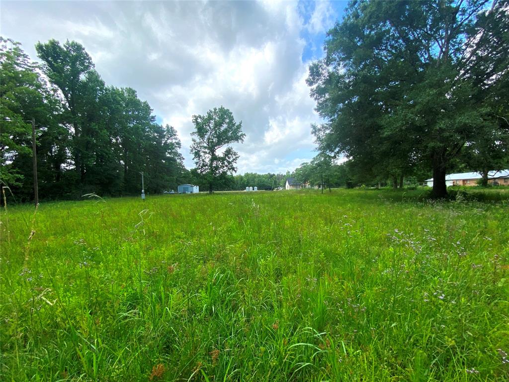 17374 Hales Rd, Batson, Texas image 3