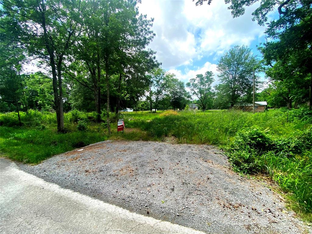 17374 Hales Rd, Batson, Texas image 1