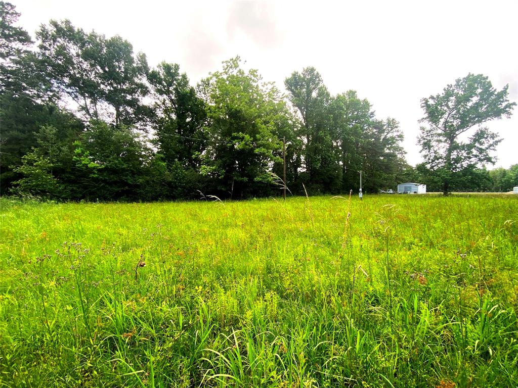 17374 Hales Rd, Batson, Texas image 8