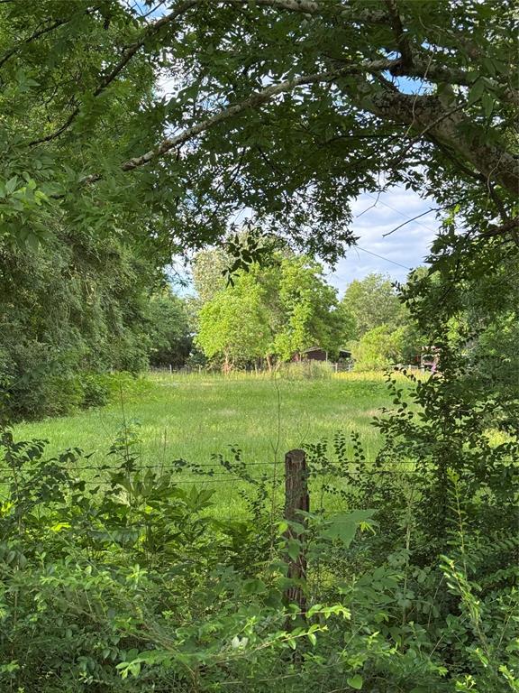 26745 Mount Mariah Cut Off Road, Montgomery, Texas image 2