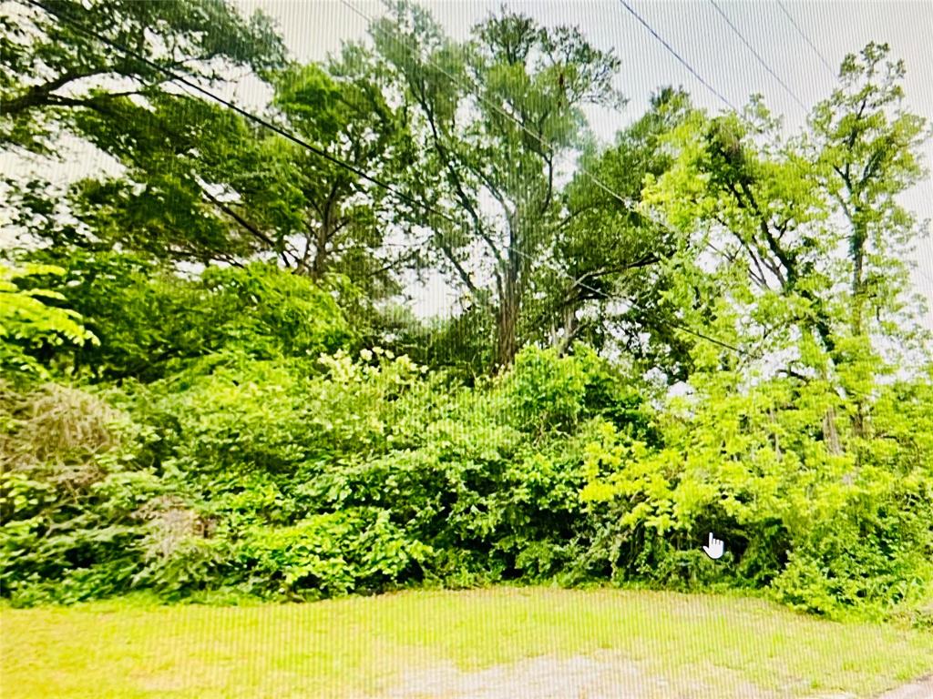 Harrison Street, Livingston, Texas image 4