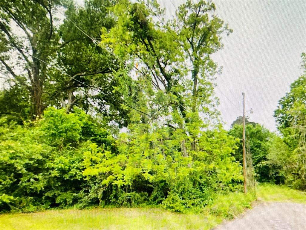 Harrison Street, Livingston, Texas image 1