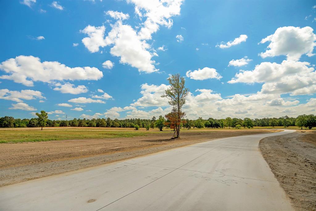 2080 Stallion Lakes Avenue, Hockley, Texas image 11