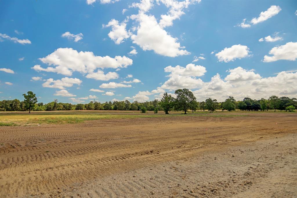 2080 Stallion Lakes Avenue, Hockley, Texas image 7