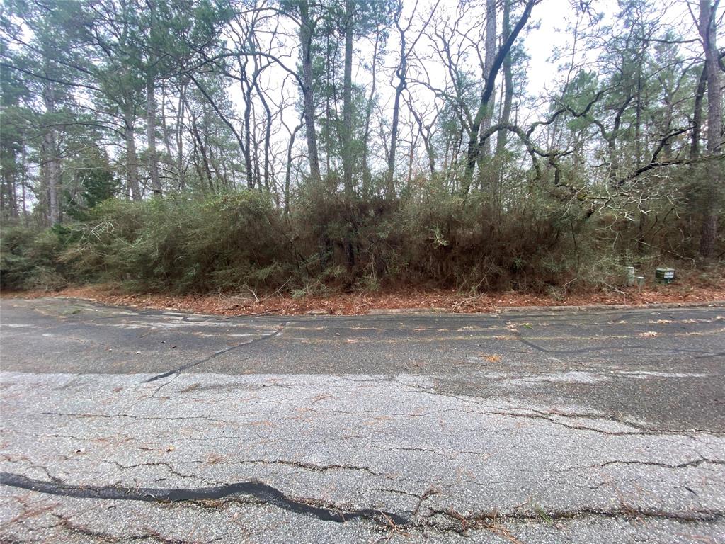 28605 Beechnut Court, Huntsville, Texas image 2