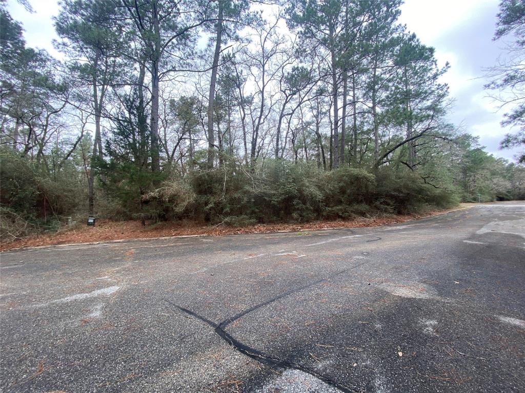 28605 Beechnut Court, Huntsville, Texas image 6