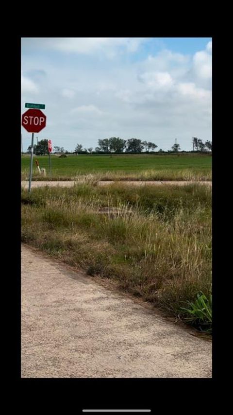 Photo of 414 Brahman Trail, Angleton, TX 77515 (MLS # 72679052)