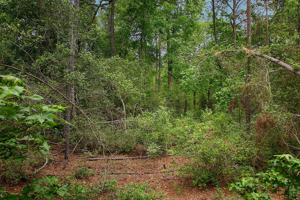 15628 Wood Grove Way, Willis, Texas image 10