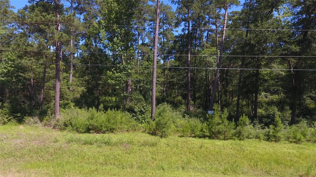 Blk 6 Lot 185 Branding Iron Road, Huntsville, Texas image 3