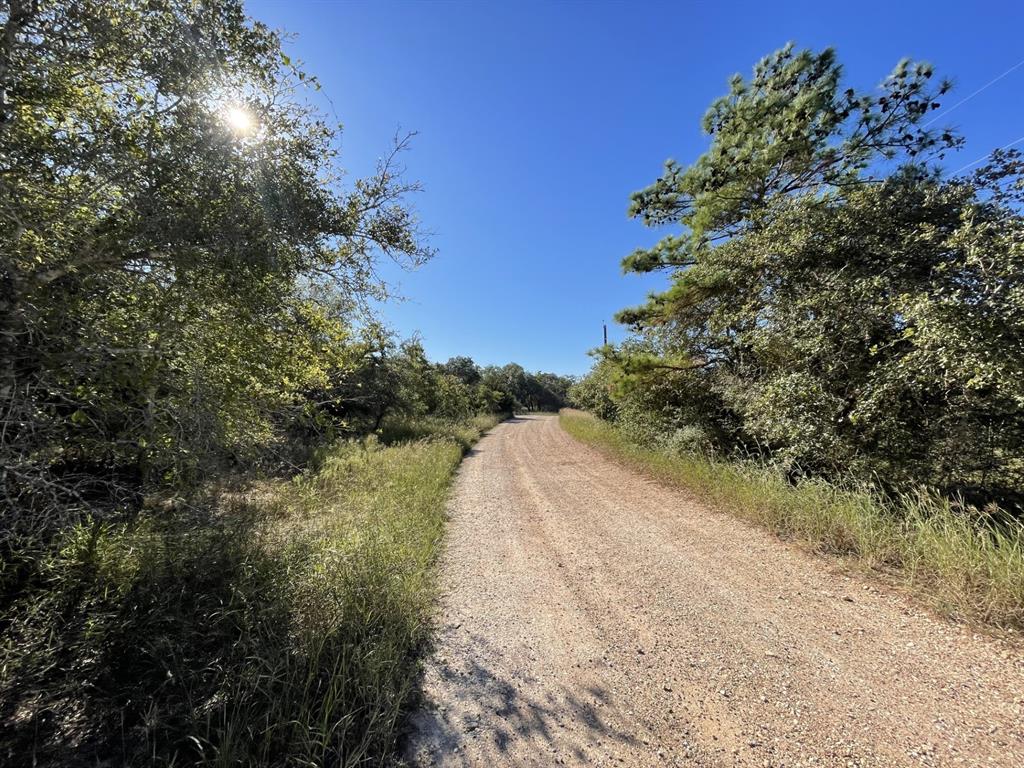 Lot 3 County Road 14, Hallettsville, Texas image 1