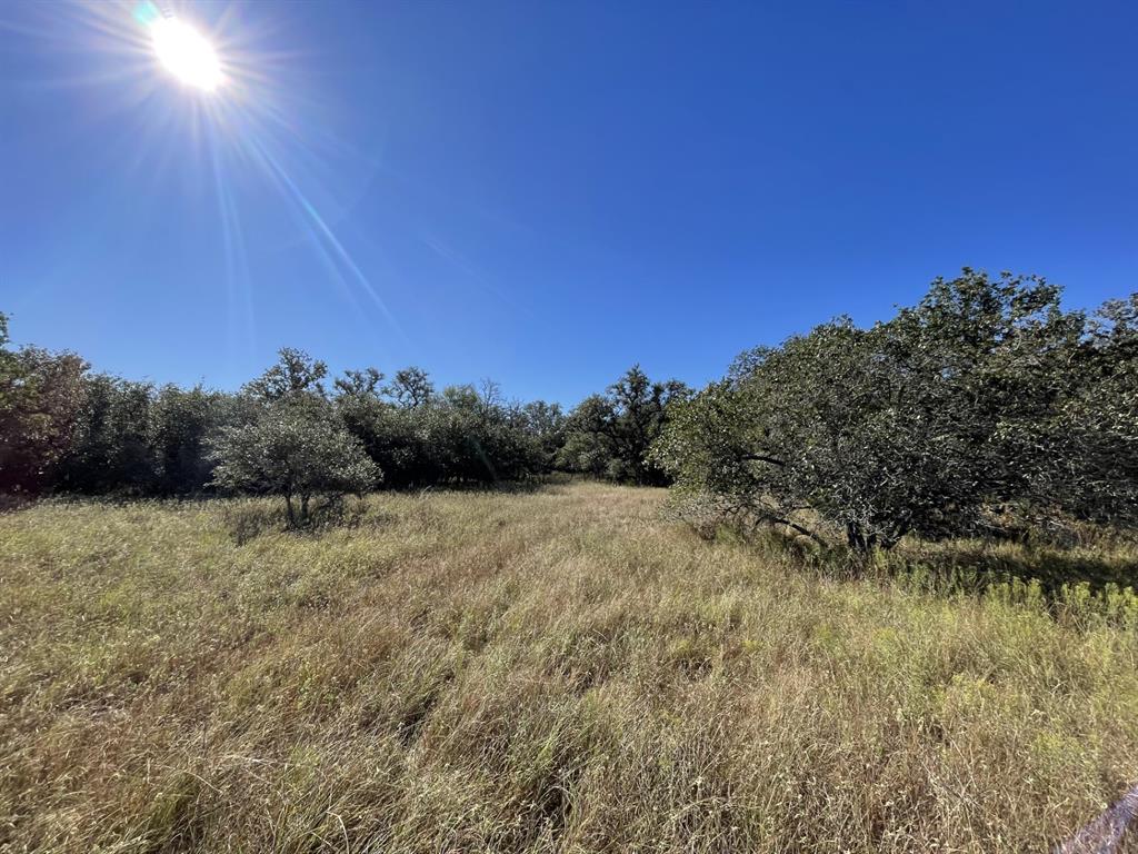 Lot 3 County Road 14, Hallettsville, Texas image 6