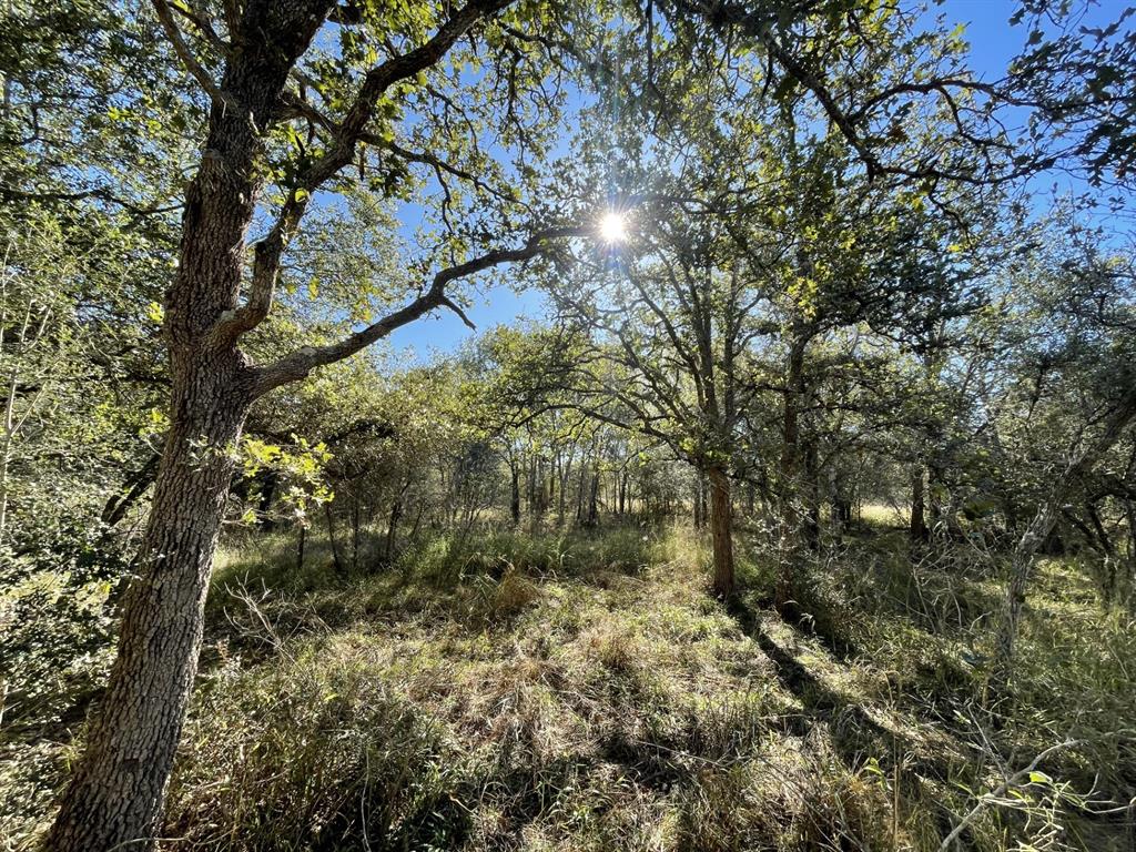 Lot 3 County Road 14, Hallettsville, Texas image 5