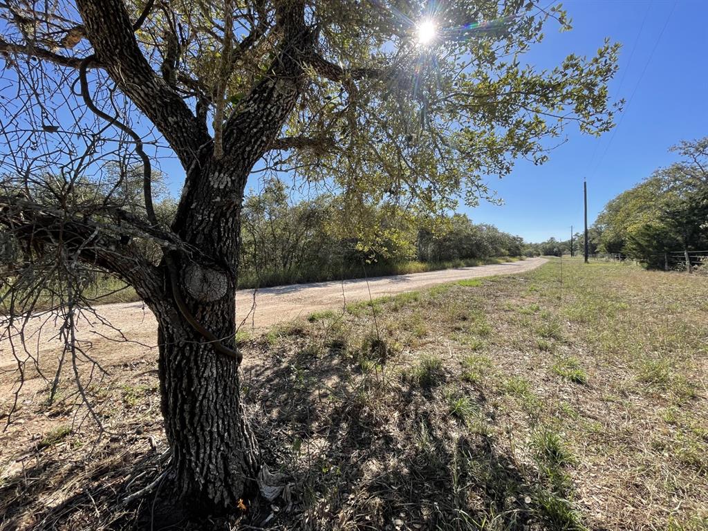 Lot 3 County Road 14, Hallettsville, Texas image 4