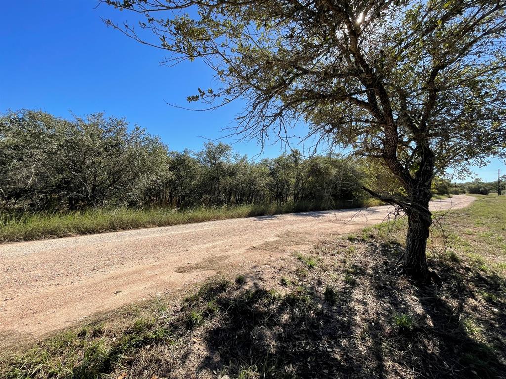 Lot 3 County Road 14, Hallettsville, Texas image 3