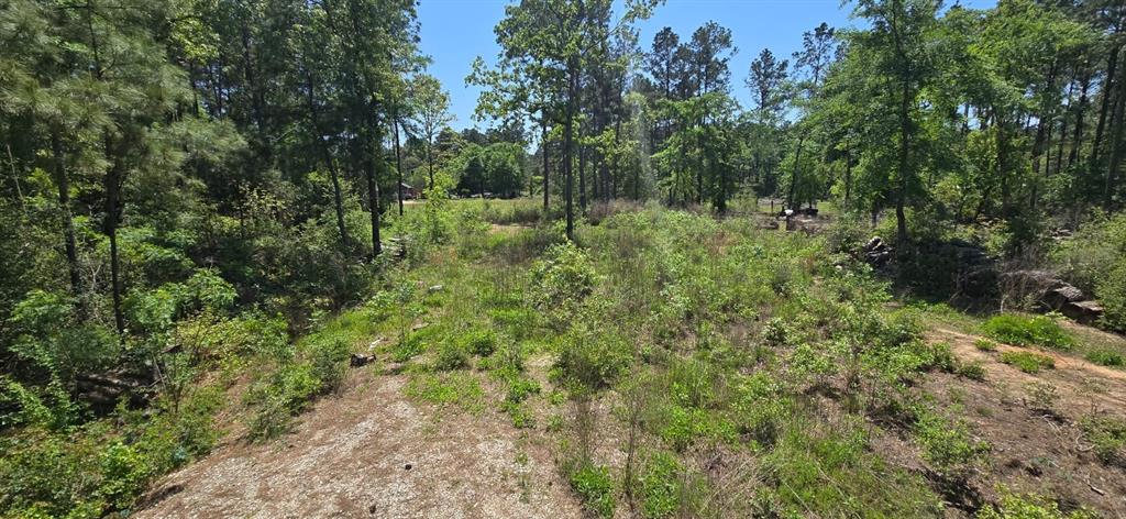 7898 Hawthorne Lane, Plantersville, Texas image 1