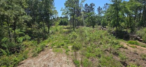 7898 Hawthorne Lane Plantersville TX 77363