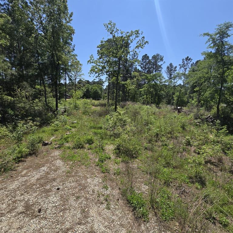 7898 Hawthorne Lane, Plantersville, Texas image 2