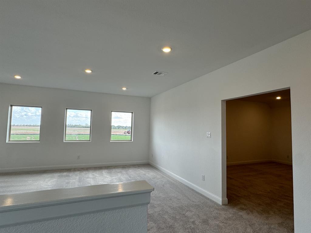 31042 Vintage Creek Lane, Fulshear, Texas image 4